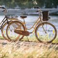 Kellys Royal Dutch 460 miesto dviratis juodas 72362 8