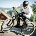 Kellys Whip 30 dviratis pilka/juoda 76398 5