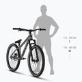 Dirt dviratis Kellys Whip 10 DX 26" frosted green 3
