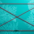 Irklentė SUP ABSTRACT Coral 10'6'' topaz 3