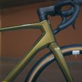 Superior X-ROAD Team Comp GR gloss olive/chrome žvyro dviratis 9