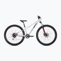 Jaunimo dviratis Superior RACER 27 gloss grey