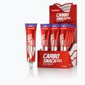 Nutrend Carbosnack energinis gelis 50g mėlynių VG-001-50-BO-de