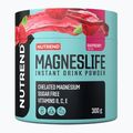 Magnis Nutrend Magneslife Instant Drink Powder 300 g aviečių VS-118-300-MA 4