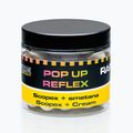 MIVARDI Rapid Pop Up Reflex Scopex + Cream 70 g plūduriuojančių kamuoliukų