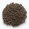 MIVARDI Rapid Boilies Starter Monster & Halibut baltyminiai rutuliukai 3,5 kg 4