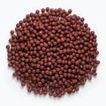 MIVARDI Rapid Boilies Starter Hot Spice 3,5 kg baltyminių kukulių 4