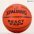 Spalding React TF-250 krepšinio 76801Z dydis 7 6