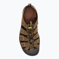 Keen Newport rudi vyriški sportiniai sandalai 1001870 7