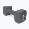 Neopreninis 6 kg hantelis Pure2Improve pilkas P2I201440