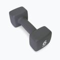 Neopreninis 6 kg hantelis Pure2Improve pilkas P2I201440 2