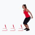 Treniruotės kliūtys Pure2Improve Flexibele Hurdles red 6