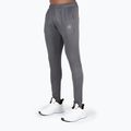 Vyriškos treniruočių kelnės Gorilla Wear Scottsdale gray