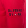 Vyriški Tommy Hilfiger Graphic Sweatshort red 7