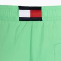 Tommy Hilfiger vyriški vidutinio ilgio su raišteliu lush jade maudymosi šortai 4