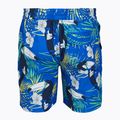 Vyriški maudymosi šortai Hurley Cuba Volley Swim Short Blue 2