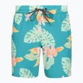 Vyriški maudymosi šortai Hurley El Cap Volley Swim Short Pro Blue