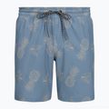 Vyriški maudymosi šortai Hurley Pineapple Volley Swim Short Blue/Brown