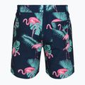 Vyriški maudymosi šortai Hurley Flamingo Volley Swim Hort Navy 2