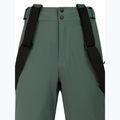 Vyrų snieglenčių kelnės Protest PRTMikado evergreen 8