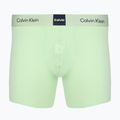 Trumpikės Calvin Klein LV00NB4477 Brief 3 poros patina green/shoreline/iridescent blue 6