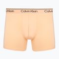Vyriškos trumpikės Calvin Klein LV00NB4413 Brief 5 pairs light cast/shoreline/peach bliss/bl 8