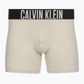 Trumpikės Calvin Klein 000NB3609A Boxer Brief 3 pairs oatmeal/aged redwood/bright turquoise 2