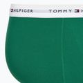 Vyriškos trumpikės Tommy Hilfiger Trunk 3 pairs army green/prp nvy/nov grn 4