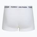 Vyriškos trumpikės Tommy Hilfiger Trunk medium red/white/navy blue 5