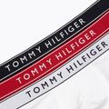 Vyriškos trumpikės Tommy Hilfiger Trunk Dtm white/medium red/navy blue 6