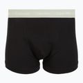 Vyriškos trumpikės Calvin Klein 0000U2662G Trunk 3 pairs black in plume wb/black in misty sag 3