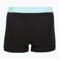 Vyriškos trumpikės Calvin Klein 0000U2662G Trunk 3 pairs black in plume wb/black in misty sag 5