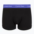 Vyriškos trumpikės Calvin Klein 0000U2662G Trunk 3 pairs black in green bloom wb/black in da 5