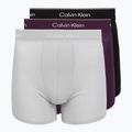 Vyriškos trumpikės Calvin Klein LV00NB4394 Brief black/harbor mist/dark purple w/ dt