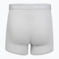Vyriškos trumpikės Calvin Klein LV00NB4394 Brief black/harbor mist/dark purple w/ dt 5