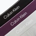 Vyriškos trumpikės Calvin Klein LV00NB4394 Brief black/harbor mist/dark purple w/ dt 6