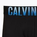 Vyriškos trumpikės Calvin Klein LV00NB4626 Trunk blck bdies w pln air drk sphire/wld 6