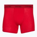 Vyriškos trumpikės Calvin Klein LV00NB4576 Boxer Brief black/goji berry/black 2