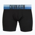 Vyriškos trumpikės Calvin Klein LV00NB4622 Boxer Brief blck bodies w/ plein air psdn blue/ 3
