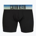 Vyriškos trumpikės Calvin Klein LV00NB4622 Boxer Brief blck bodies w/ plein air psdn blue/ 4
