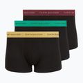 Vyriškos trumpikės Tommy Hilfiger Trunk Metallic gold/burgundy/green