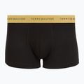 Vyriškos trumpikės Tommy Hilfiger Trunk Metallic gold/burgundy/green 2