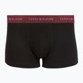 Vyriškos trumpikės Tommy Hilfiger Trunk Metallic gold/burgundy/green 4