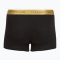 Vyriškos trumpikės Tommy Hilfiger Trunk Metallic gold/burgundy/green 5