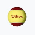 Wilson Starter Red Tballs vaikiški teniso kamuoliukai 12 vnt. geltonos ir raudonos spalvos WRT137100 3