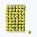 Wilson Starter Orange Tball vaikų teniso kamuoliukai 48 vnt. geltoni WRT13730B