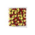 Wilson Starter Red Tball vaikų teniso kamuoliukai 36 vnt. geltoni/raudoni WRT13700B 2