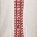Vyriškos snieglentės DC AW Ply red fragile 8