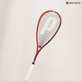 Skvošo raketė Prince Team Airstick 500 red/black 8