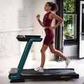 Elektrinis bėgimo takelis Reebok Floatride FR20z green 11